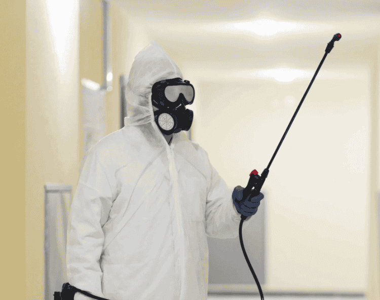 5 Practical Ways to Handle Bed Bugs and Pests in Colorado Springs