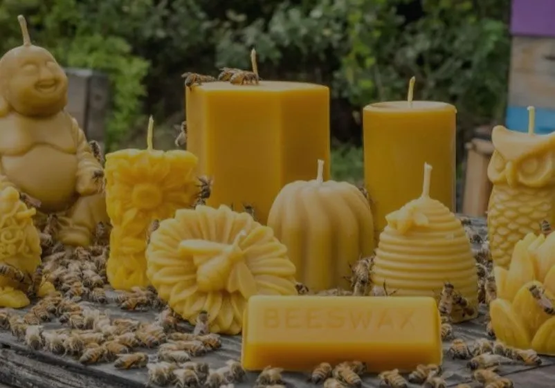 Discovering Quality and Craft: What Makes a Great Honey Company Today