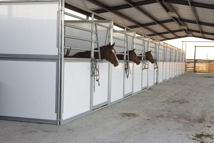 Cattle Head Gates: The Essential Equipment Every Livestock Handler Needs