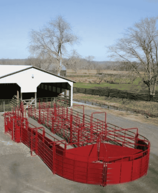 Top 7 Tips to Choose Horse Feeders & Manual Squeeze Chutes in Illinois
