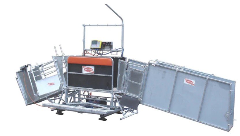 Choose the Best Sheep and Cattle Waterers for Your Farm