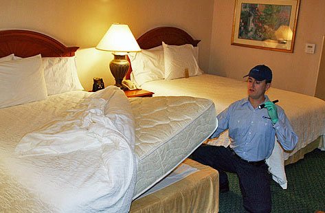 Effective Bed Bug Removal in Springfield MO: Your Complete Guide