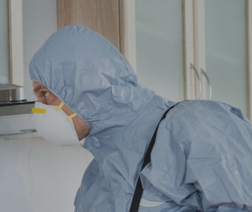 How Does Bed Bug Fumigation in Springfield, MO Work? A Complete Guide