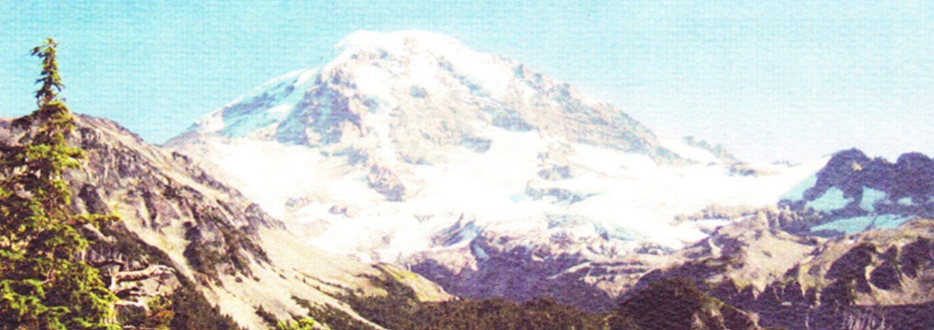 Choosing Your Ideal Healing Partner: A Guide to Massage Tables