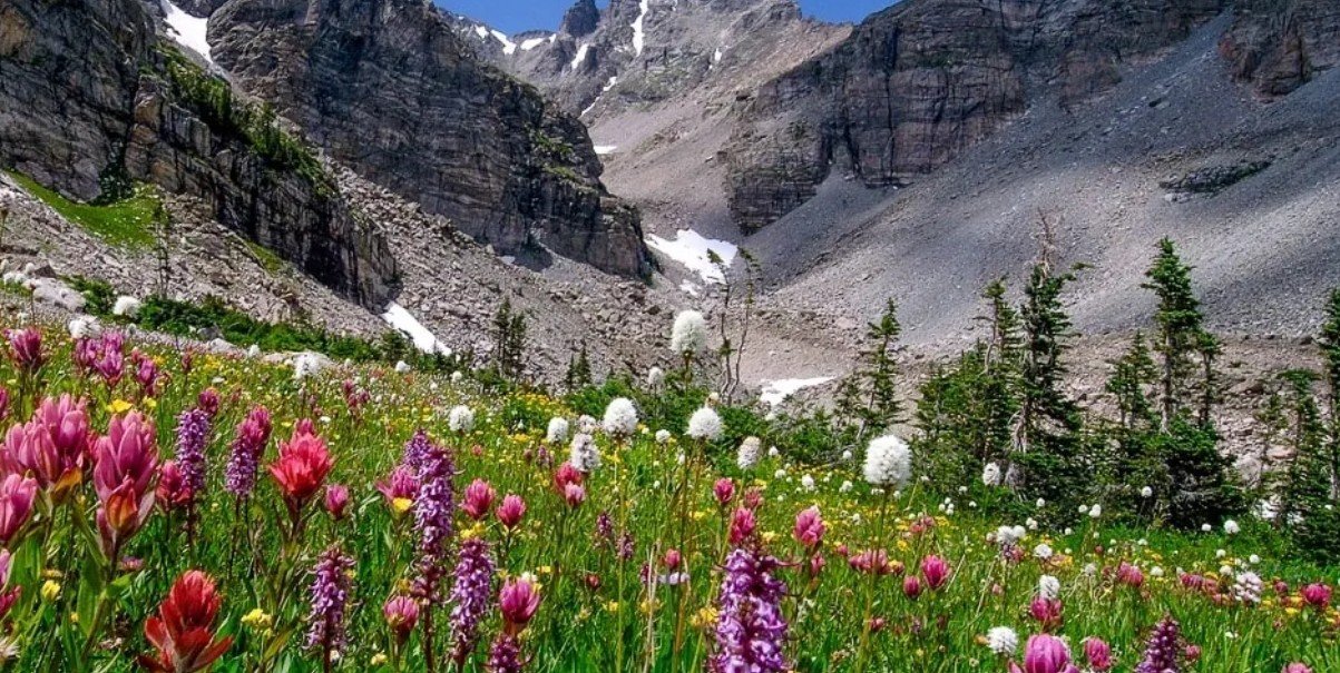 Why Should You Hire the Best Home Inspectors in Fort Collins, CO and Greeley, CO for Your Next Property Purchase?