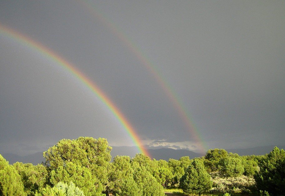 Why Wellness Retreats and Rural Retreats Are the Future of Travel: A Complete Guide